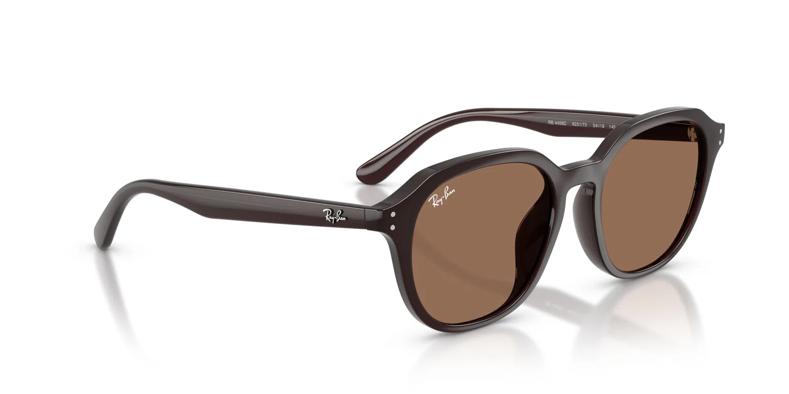 Ray-Ban 4459D Sunglasses - view 27